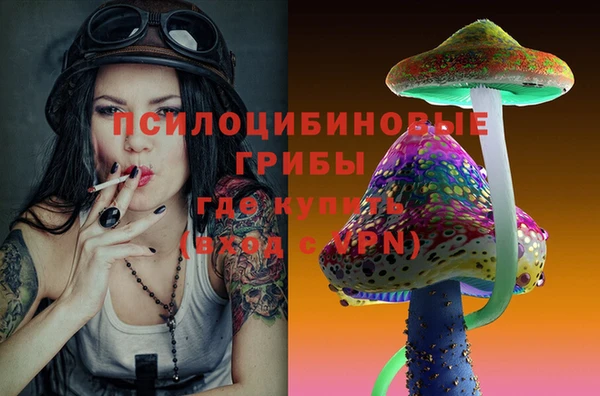 винт Корсаков