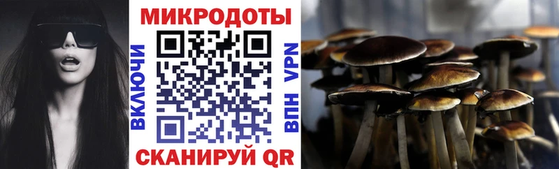 купить наркоту  Няндома  Галлюциногенные грибы мухоморы 