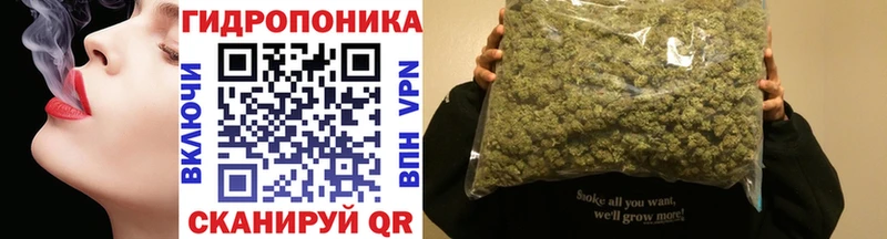 дарнет шоп  Няндома  Шишки марихуана LSD WEED 
